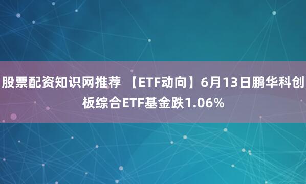 股票配资知识网推荐 【ETF动向】6月13日鹏华科创板综合ETF基金跌1.06%